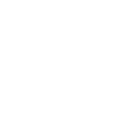 ce logo Bellevue-ne