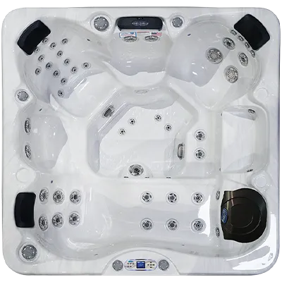 Avalon EC-849L hot tubs for sale in Bellevue-ne