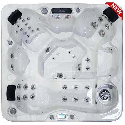 Avalon-X EC-849LX hot tubs for sale in Bellevue-ne