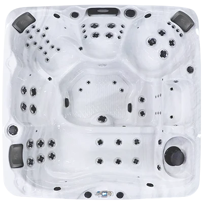 Avalon EC-867L hot tubs for sale in Bellevue-ne