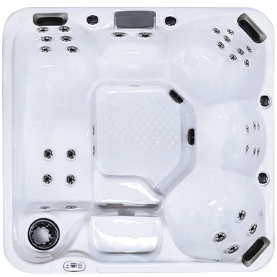 Hawaiian Plus PPZ-634L hot tubs for sale in Bellevue-ne