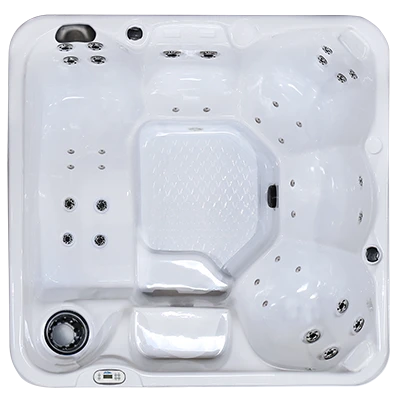 Hawaiian PZ-636L hot tubs for sale in Bellevue-ne